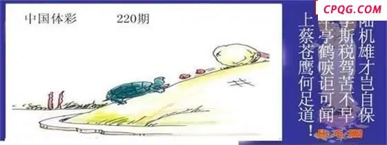 体彩P32025年220期 易名图