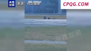 惊险一刻：F-15战机滑行时后座人员弹射“升空”