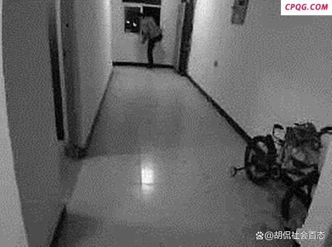男子潜入陌生人家中 麻醉女子并抽血 离奇案件引争议