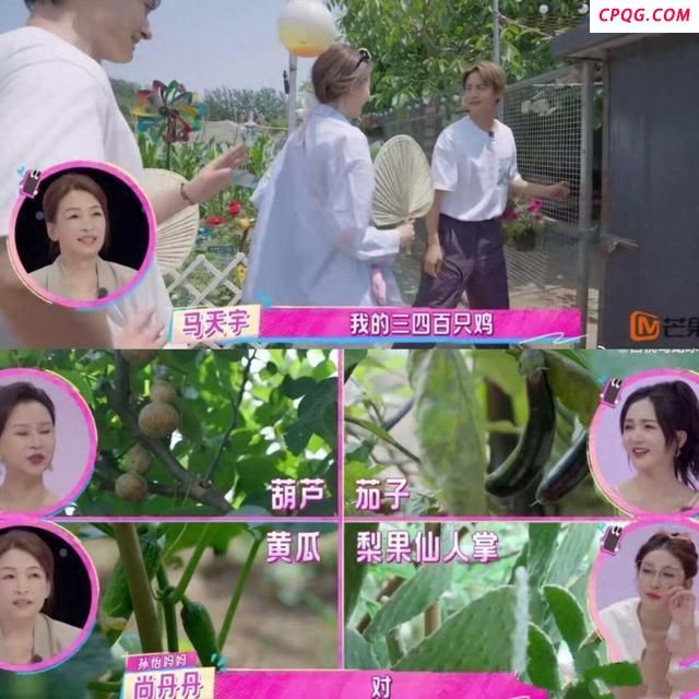 媒体评明星种菜：不必急着贴标签