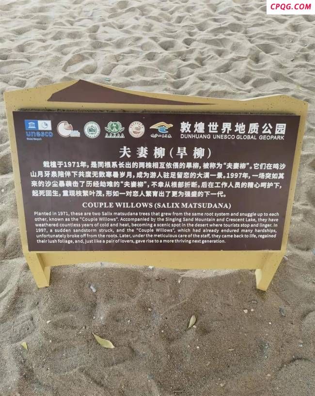 景区回应鸣沙山月牙泉夫妻柳离婚 沙尘暴所致已处理