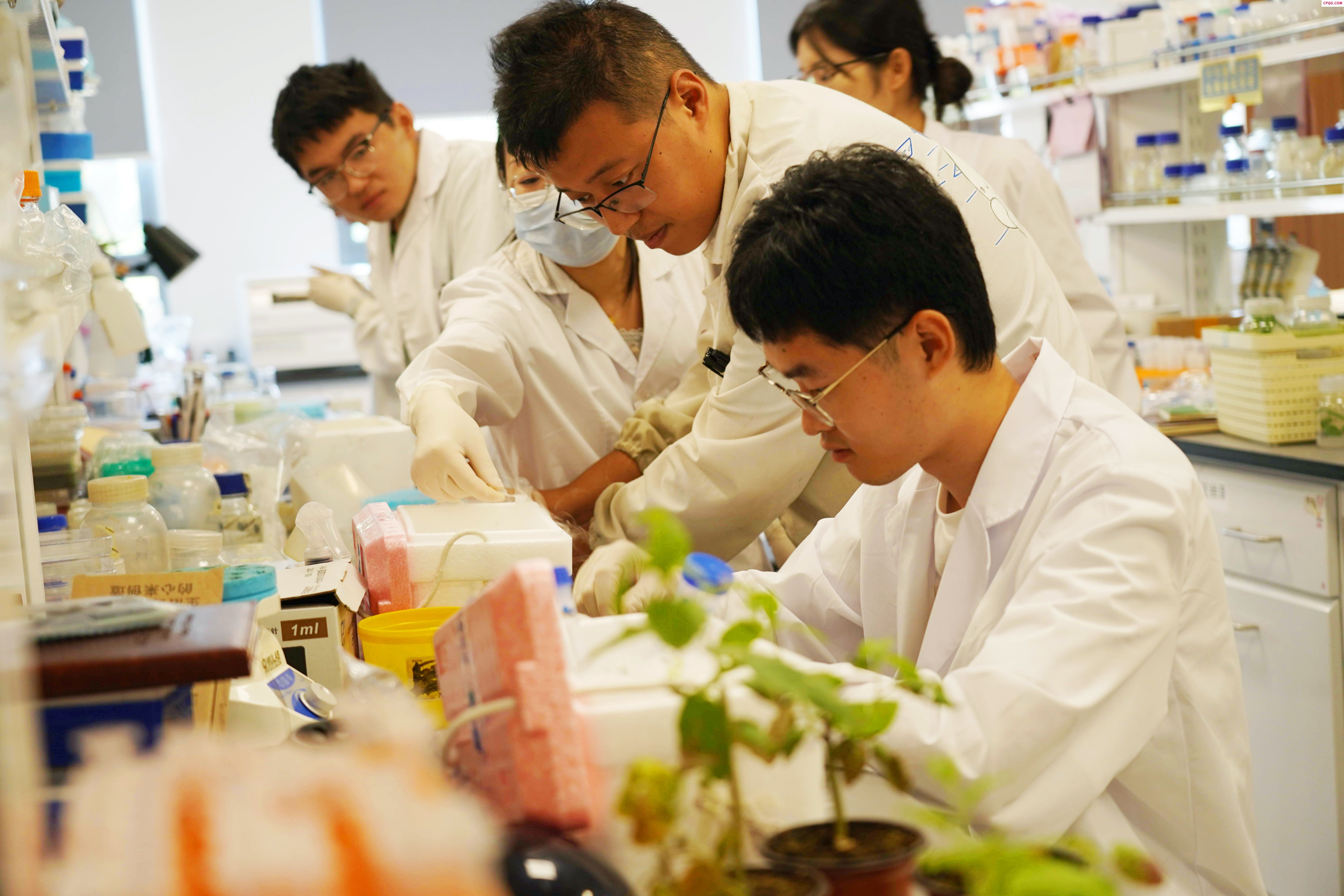 浙江农林大学：暑假科研实验正当时