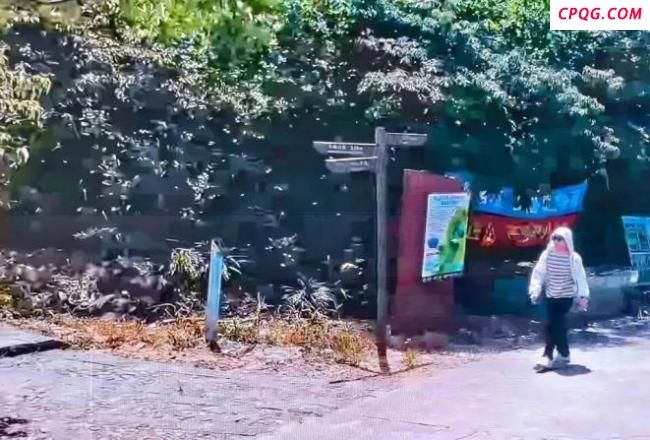 男子登山失联家属悬赏寻人 搜救仍在继续