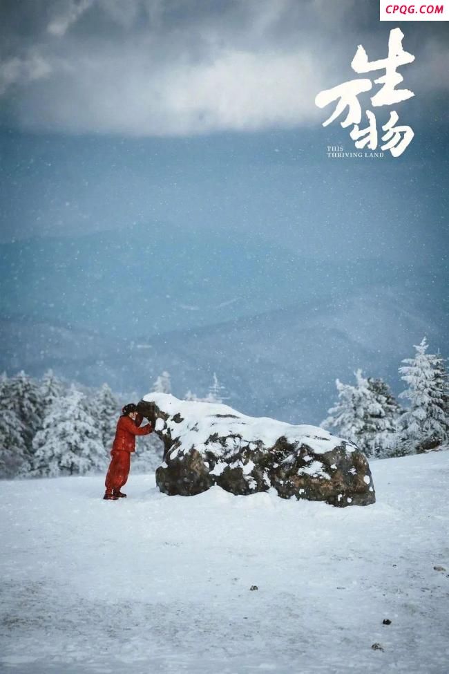 杨幂《生万物》演技有多好 全员演技在线