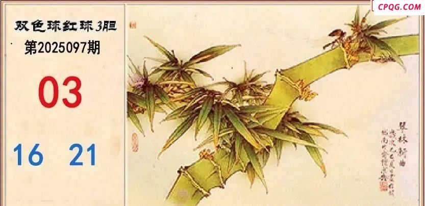 翠竹红球三胆25年097期双色球图谜