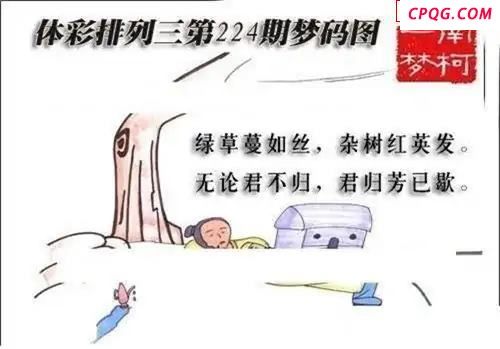 体彩P32025年224期 梦码图