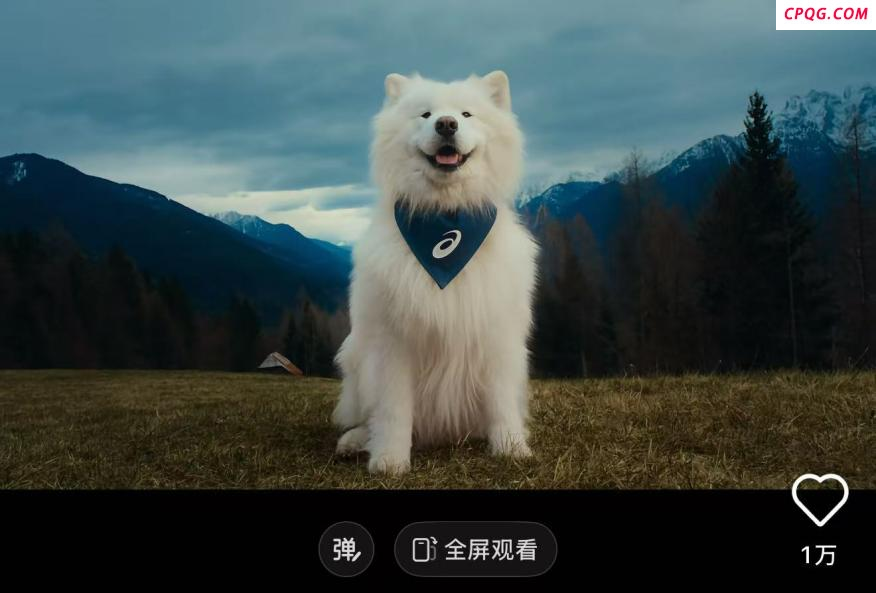 比人还自律？宠物“占领”瑜伽馆、游泳池，连专属健身房都有！