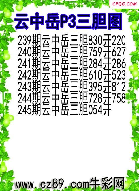 25年245期云中岳P3三胆图