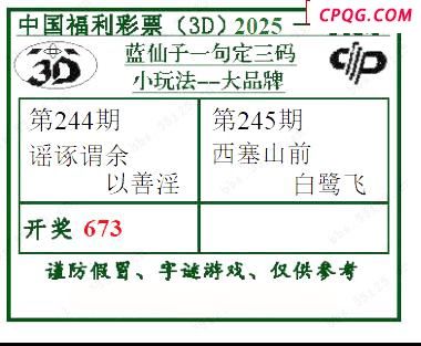 2025245期蓝仙子一句定三码