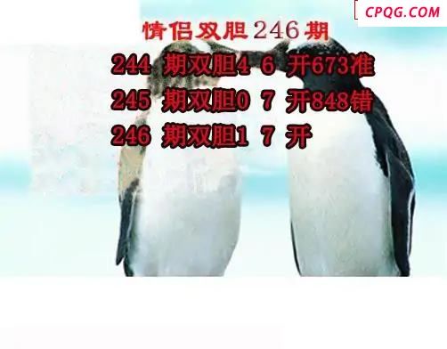 情侣双胆2025246期3d图谜
