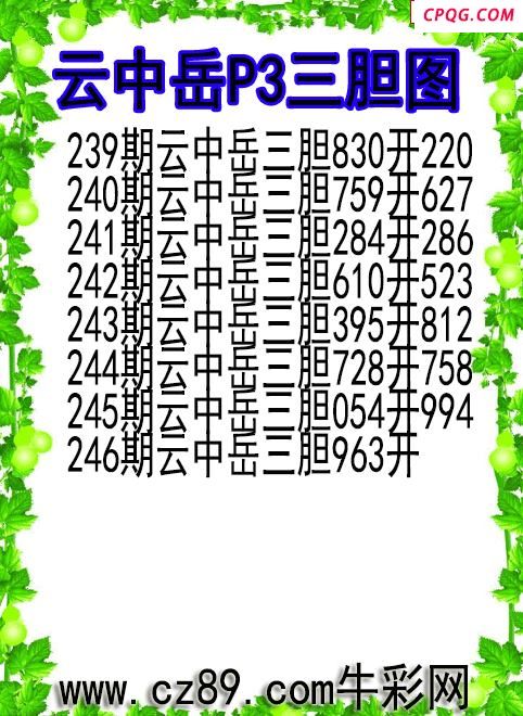 25年246期云中岳P3三胆图
