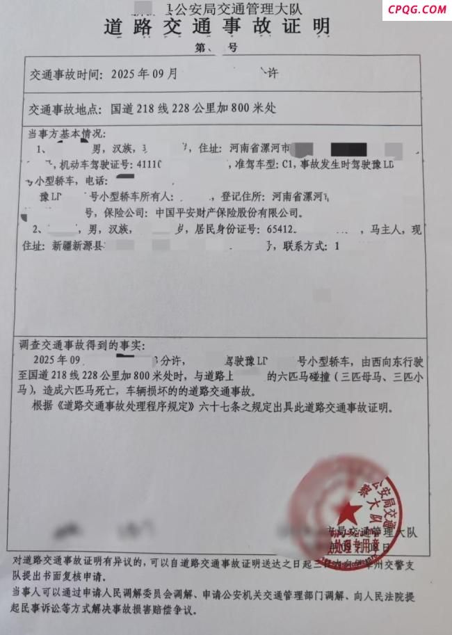 游客自驾撞死6匹马 牧民让赔4.5万 责任划分待定