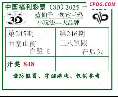 2025246期蓝仙子一句定三码
