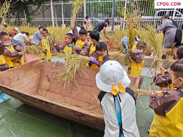 幼儿园里的丰收节