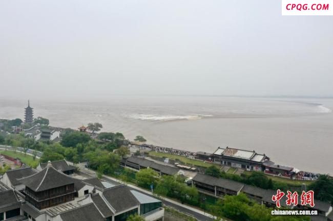浙江海宁：盐官古城新韵引客来