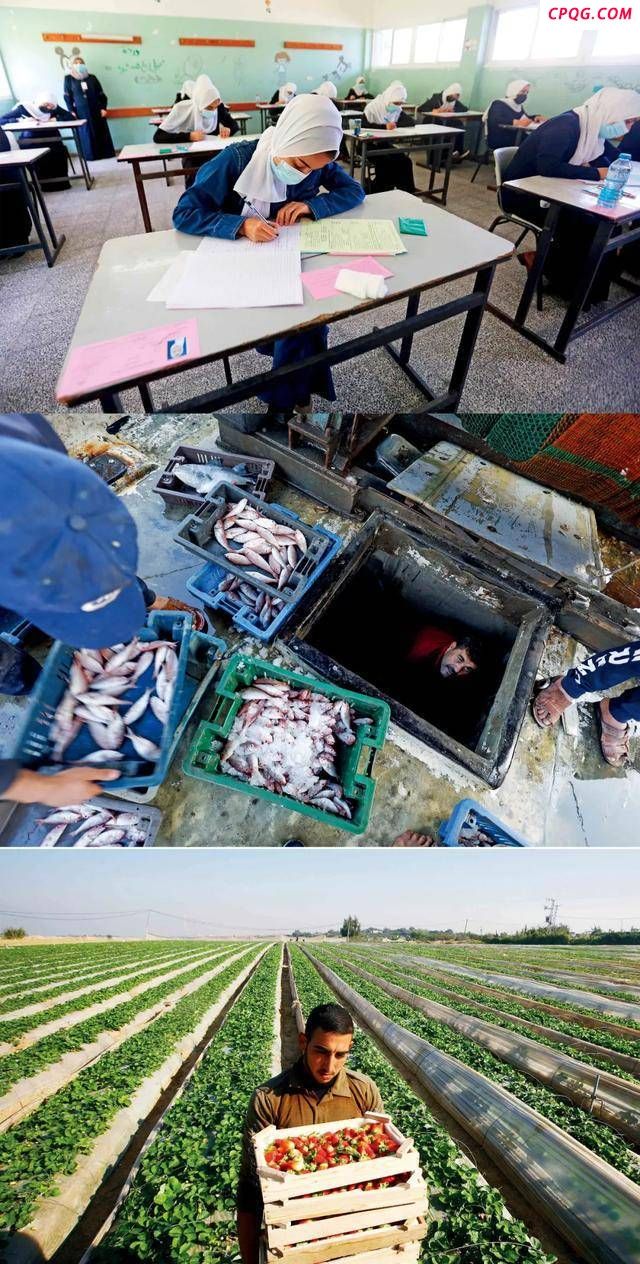 学者称加沙没有一个人不是难民 战火中的混凝土沙漠