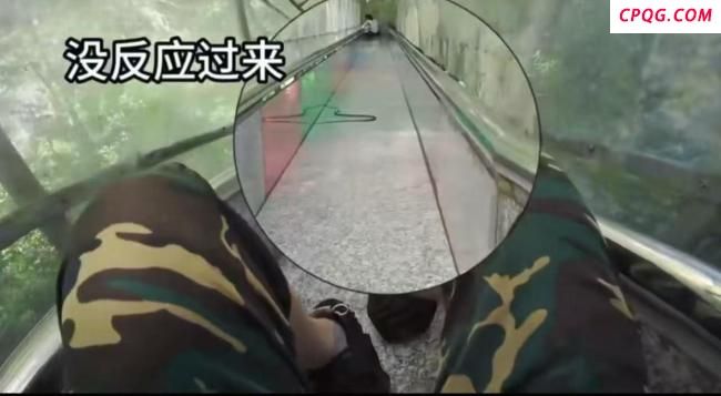 游客景区玩滑梯时 有蛇“从天而降”