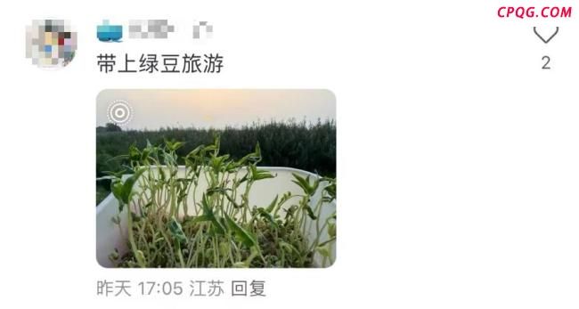 长假一群人带着绿豆游遍祖国 特别的作业之旅