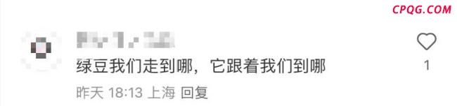 长假一群人带着绿豆游遍祖国 特别的作业之旅