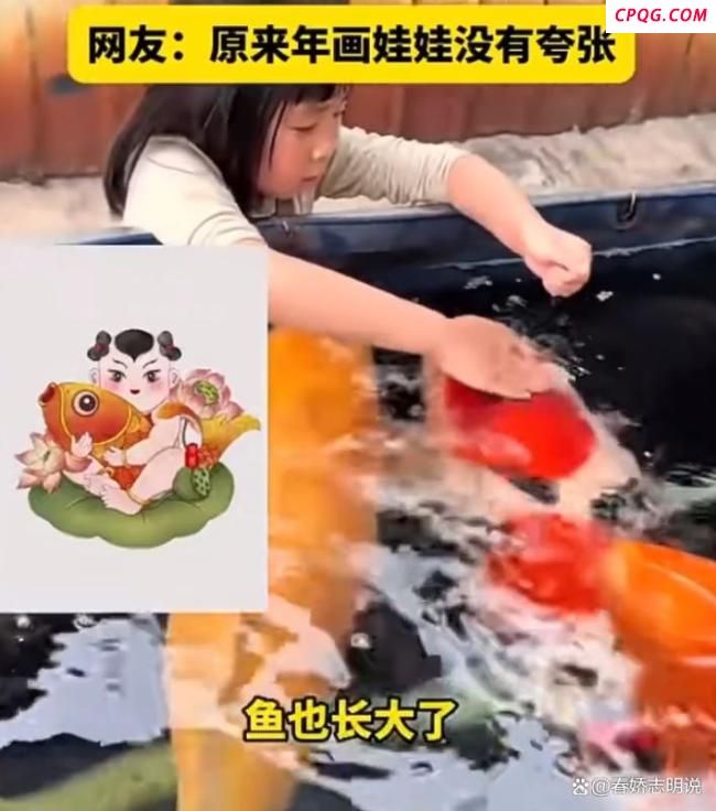 趵突泉胖锦鲤疑病重 过度投喂惹祸