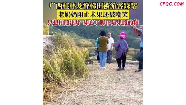 大理网红稻田遭游客大面积踩踏 田园风光变“展览馆”