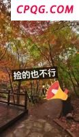 杭州新一轮高温天卷土重来 副高控制气温升