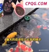 被儿子遗弃荒野 母亲狂奔拦车求助 法律武器守护晚年尊严