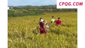 美对华船舶加征港口费 中国如何反制 航运业灵活应对挑战