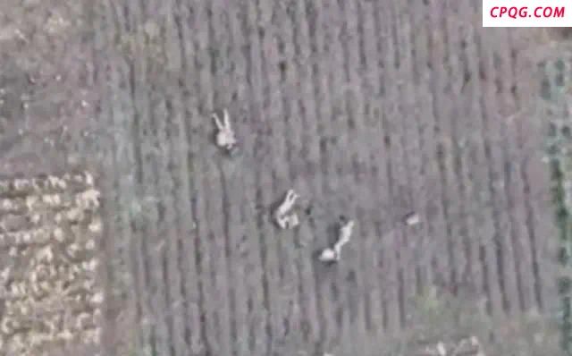 实拍俄老兵一挑六全身而退无人机立功