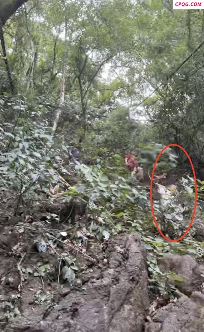 退伍小伙一把抱住从山上滑落的孩子 下面就是悬崖
