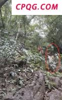 曹德旺回应办福耀科技大学初衷 培养高质量人才