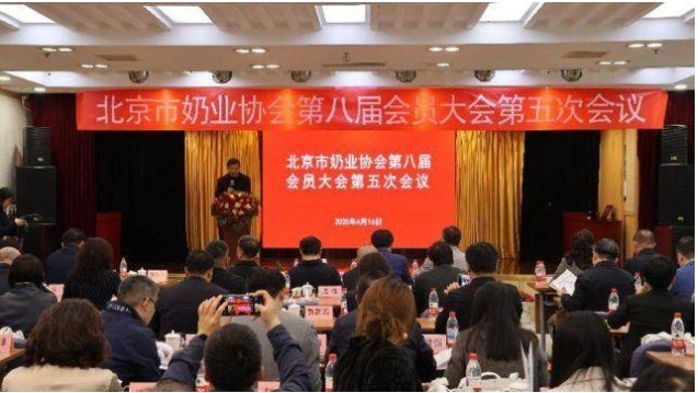 圣祥乳业李飞当选北京奶协副会长及理事 廿余载深耕助力奶业振兴